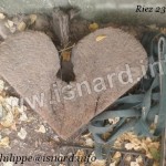 Coeur de bois (04) Riez, Mini-Ranch, 8.12 (c) PhI
