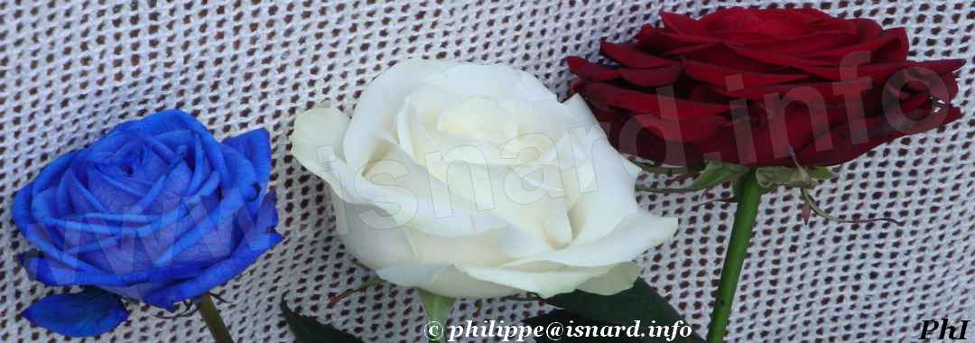 bando 3 roses BBR (04) Allemagne-en-Provence © PhI