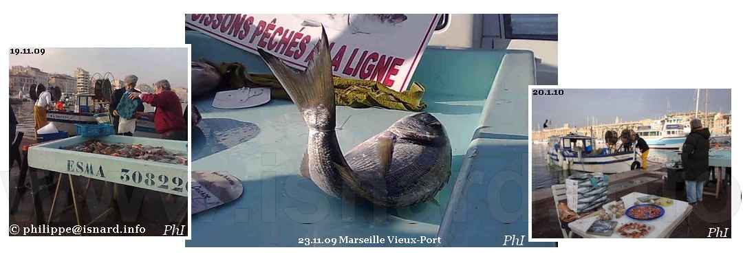 Marché aux poissons (13) Marseille Vieux-Port 2009-2010 © PhI