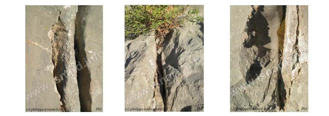 Fissures du rocher d'escalade du Pont de Mirabeau (84) 8.18 © PhI