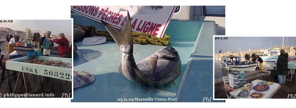 Marché aux poissons (13) Marseille Vieux-Port 2009-2010 © PhI