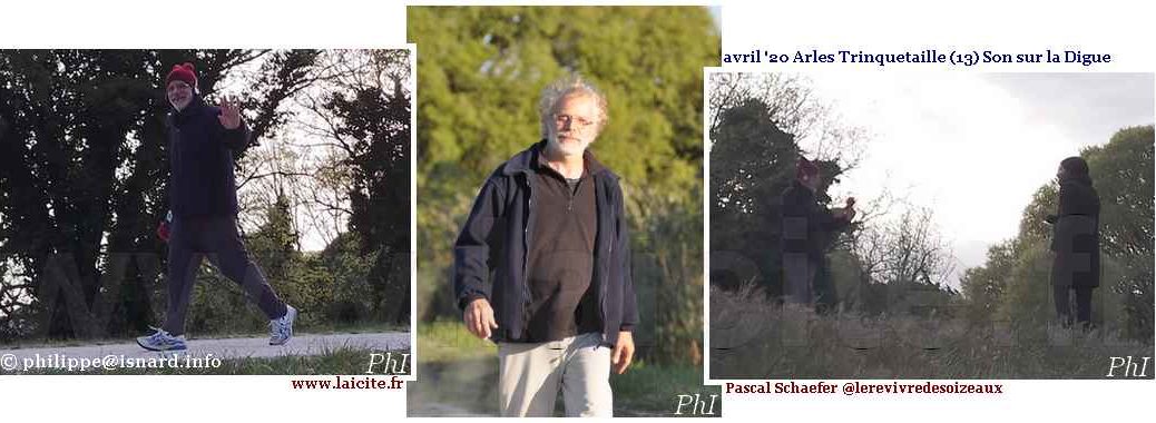 le Revivre des Zoiseaux, Son (13) Arles, digue de Trinquetaille 4.20 © PhI