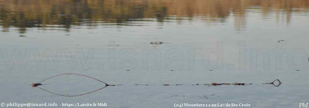image du lac de Ste-Croix (04) Moustiers 1.1.22 © PhI