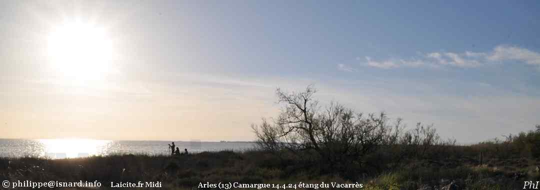 étang du Vaccarès (13) Arles 14.4.24 Camargue © PhI