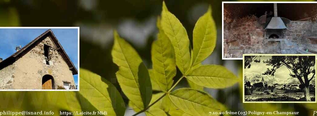 Poligny (05) et son four à pain 7.10.20 © PhI