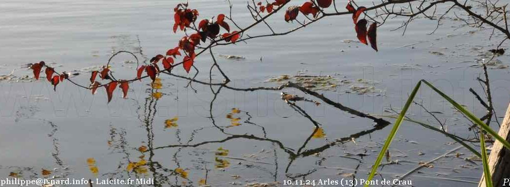 Arles (13) Pont-de-Crau 10.11.24 © PhI