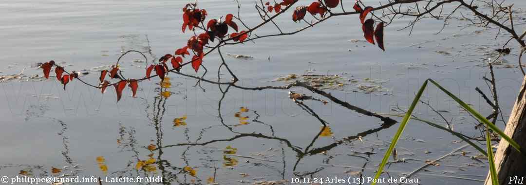Arles (13) Pont-de-Crau 10.11.24 © PhI