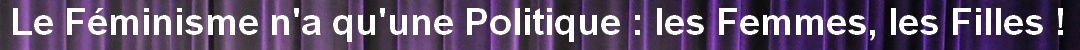 Le Féminisme, n'a qu'une politique...